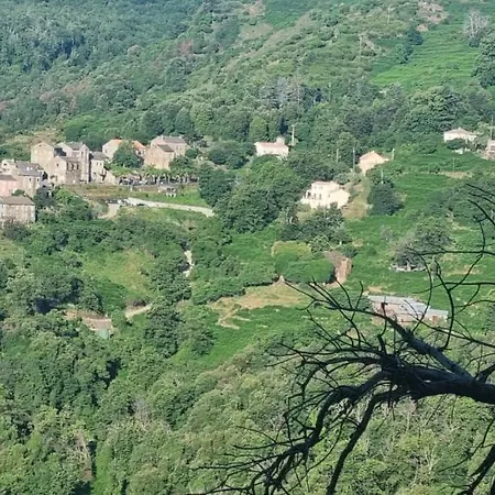 Domaine Colonna-Santini Gite Avec Piscine & Spa, Vue Mer Et Montagnes * Porri