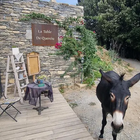 Domaine Colonna-Santini Gite Avec Piscine & Spa, Vue Mer Et Montagnes * Porri