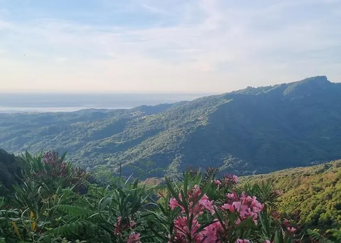 Domaine Colonna-santini Avec Piscine & Spa, Vue Et Montagnes בית נופש *