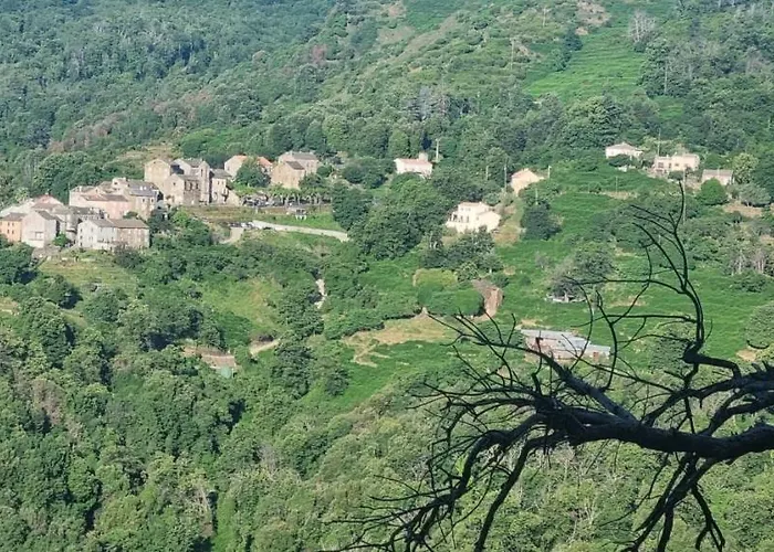 Domaine Colonna-santini Avec Piscine & Spa, Vue Et Montagnes * Porri