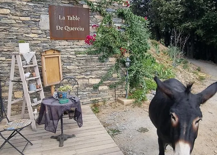 Domaine Colonna-santini Avec Piscine & Spa, Vue Et Montagnes * Porri