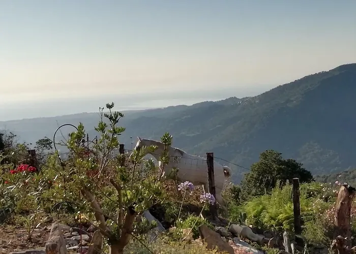 Domaine Colonna-santini Avec Piscine&spa, Vue Et Montagnes Hébergement de vacances Porri